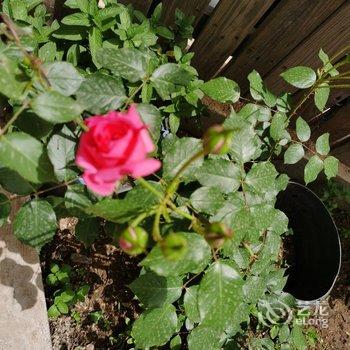 北京山谷青年旅社酒店提供图片