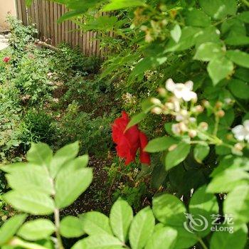 北京山谷青年旅社酒店提供图片