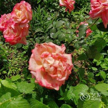 北京山谷青年旅社酒店提供图片