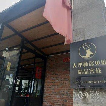 林深见鹿精品客栈(大理古城店)酒店提供图片