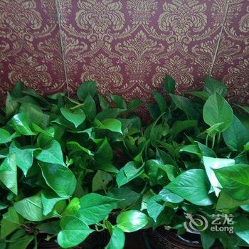 互生客栈酒店提供图片