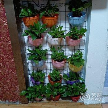 互生客栈酒店提供图片