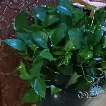 互生客栈酒店提供图片