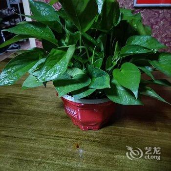 互生客栈酒店提供图片