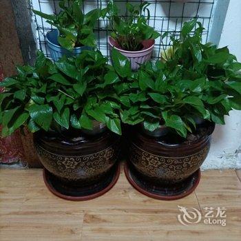 互生客栈酒店提供图片
