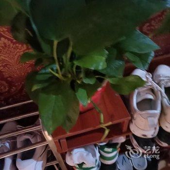 互生客栈酒店提供图片