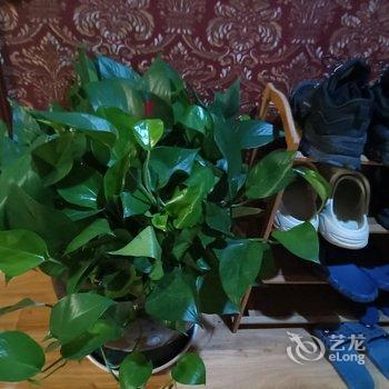 互生客栈酒店提供图片