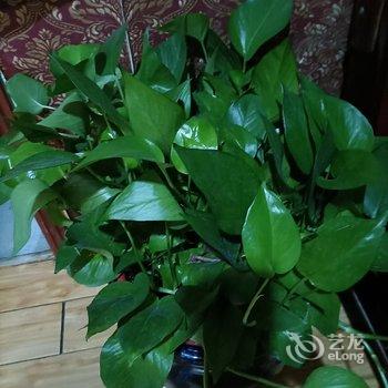 互生客栈酒店提供图片