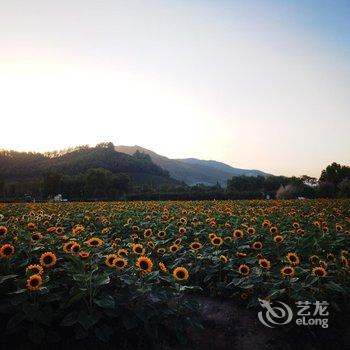 遇见舍民宿(杭州双溪竹海径山店)酒店提供图片