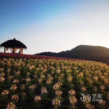 遇见舍民宿(杭州双溪竹海径山店)酒店提供图片