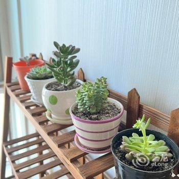 PLA1258公寓(凤城南路分店)酒店提供图片