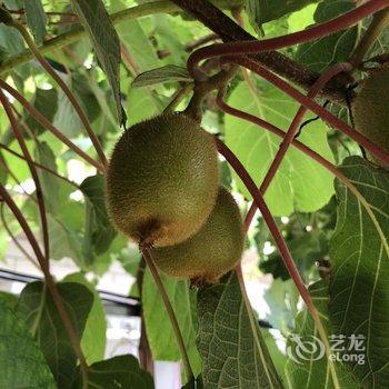 北京本土人家农家院酒店提供图片