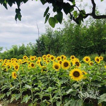 北京本土人家农家院酒店提供图片