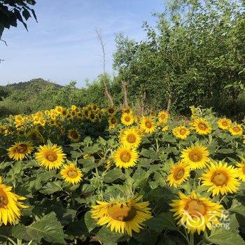 北京本土人家农家院酒店提供图片