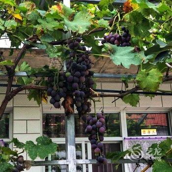 北京本土人家农家院酒店提供图片