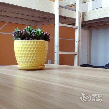 菏泽鲸鱼青年旅店酒店提供图片