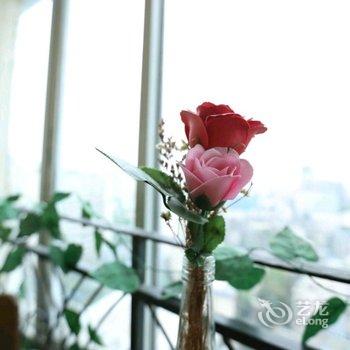成都自由度太空舱青年旅舍酒店提供图片