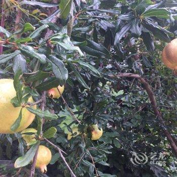 澄江渔山生态园酒店提供图片