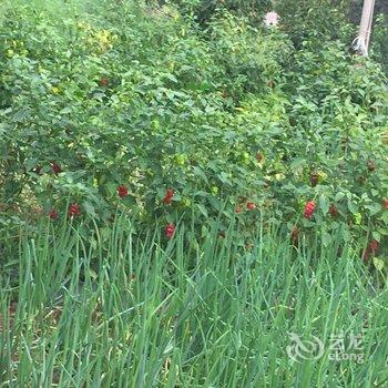 澄江渔山生态园酒店提供图片