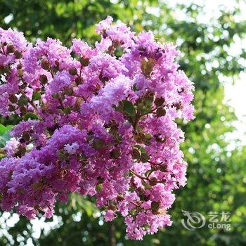 花筑·泰山宽舍客栈(红门登山口店)酒店提供图片