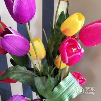 �����ܰ�Ƶ깫Ԣ�Ƶ��ṩͼƬ