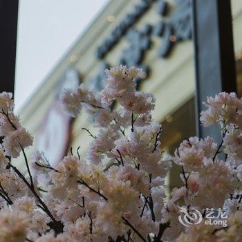 上海极乐汤川沙温泉酒店酒店提供图片