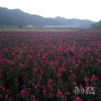 天台逢观民宿酒店提供图片