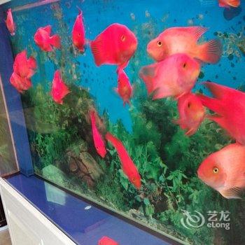 芜湖元素主题宾馆酒店提供图片