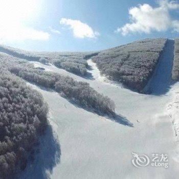 张家口多乐美地白桦酒店酒店提供图片