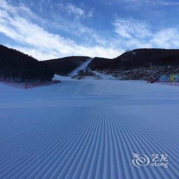 张家口多乐美地白桦酒店酒店提供图片