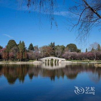 昆明滇池度假区闲庭飞花主题客栈酒店提供图片