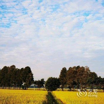 中山禾田香野民宿酒店提供图片