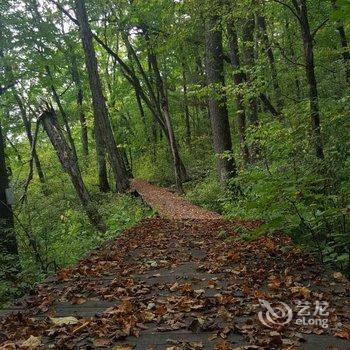 长白山108山舍酒店提供图片