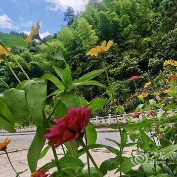 花千谷·泳池Villa景观庭院美宿(杭州千岛湖店)酒店提供图片