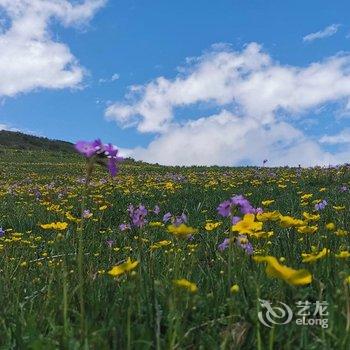 汶川汶懋客栈酒店提供图片