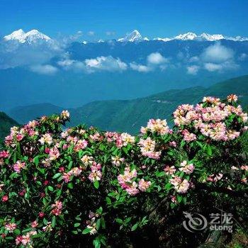 汶川汶懋客栈酒店提供图片