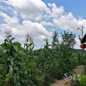 连州紫荆庄园酒店提供图片