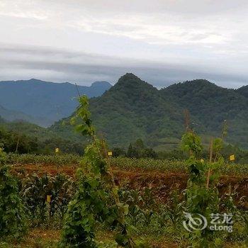 夹关千子湖酒店酒店提供图片