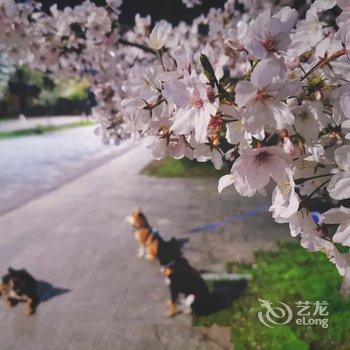 乌镇悦景庄花间堂酒店提供图片