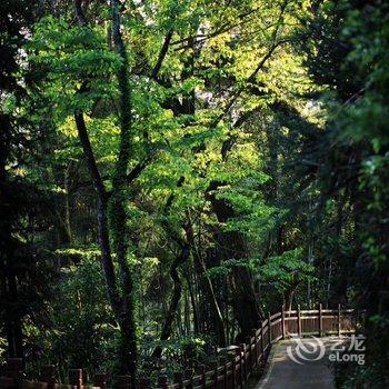 广州岚坞客栈酒店提供图片