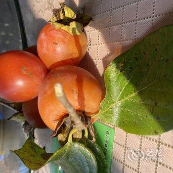 广州岚坞客栈酒店提供图片