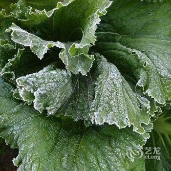 广州岚坞客栈酒店提供图片