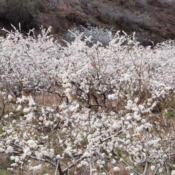 广州岚坞客栈酒店提供图片