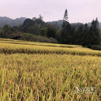 广州岚坞客栈酒店提供图片