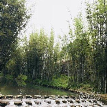 广州岚坞客栈酒店提供图片