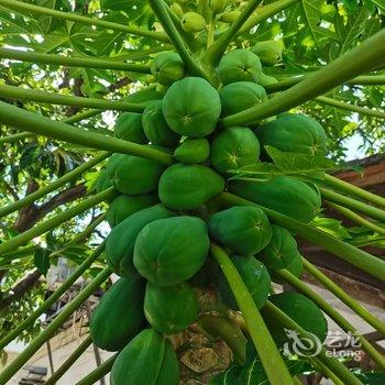 广州岚坞客栈酒店提供图片