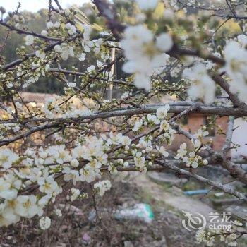 广州岚坞客栈酒店提供图片
