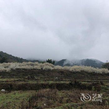 广州岚坞客栈酒店提供图片