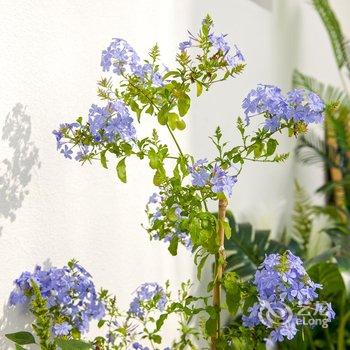 径丘舍民宿酒店提供图片