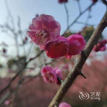 杭州宜居宜舍民宿(西湖断桥店)酒店提供图片